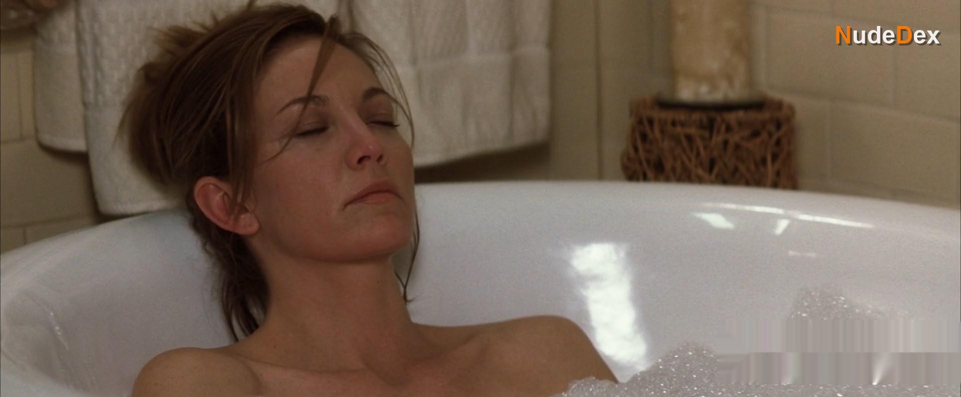 Diane Lane in Must Love Dogs, photo 16
