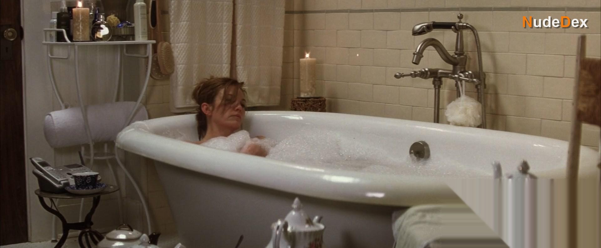 Diane Lane in Must Love Dogs, photo 18
