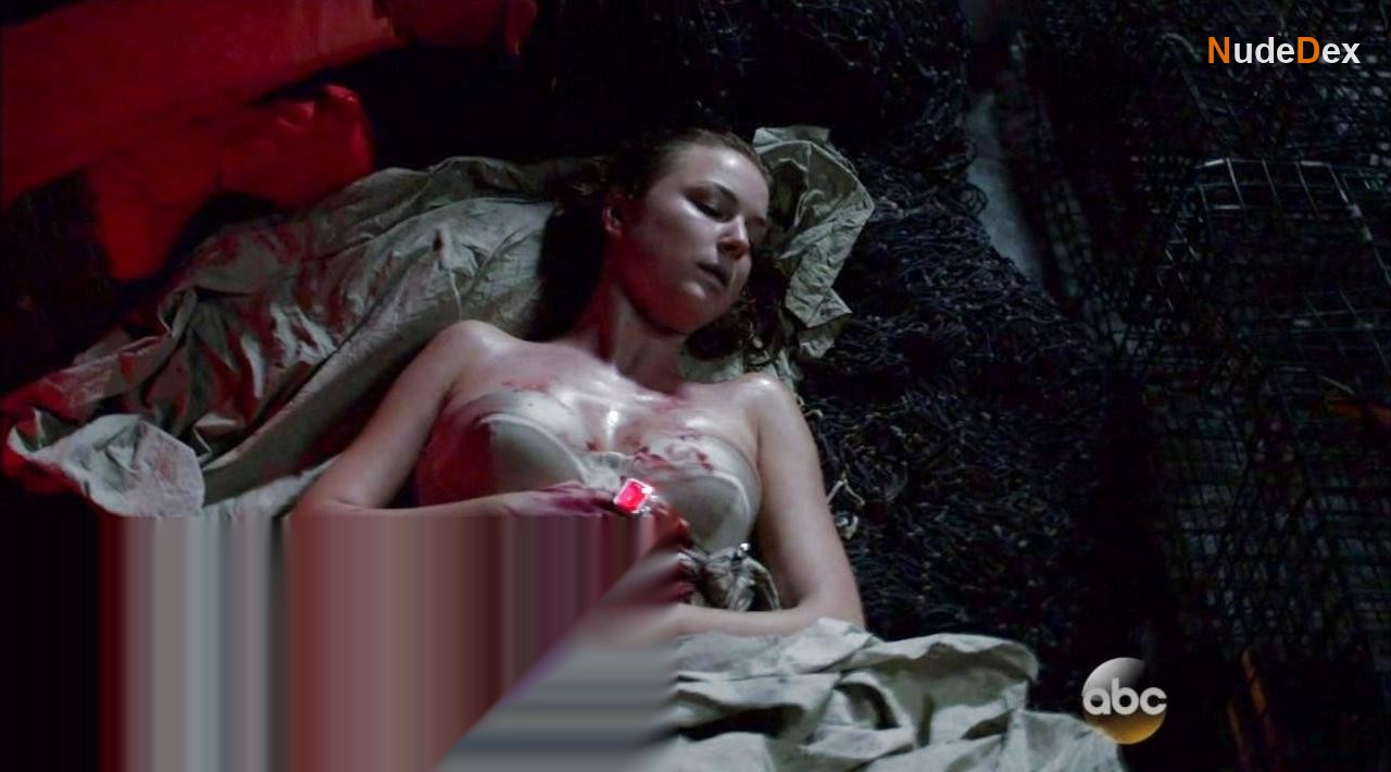Emily Vancamp in Revenge, photo 1