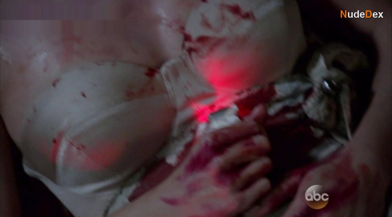 Emily Vancamp in Revenge, photo 2