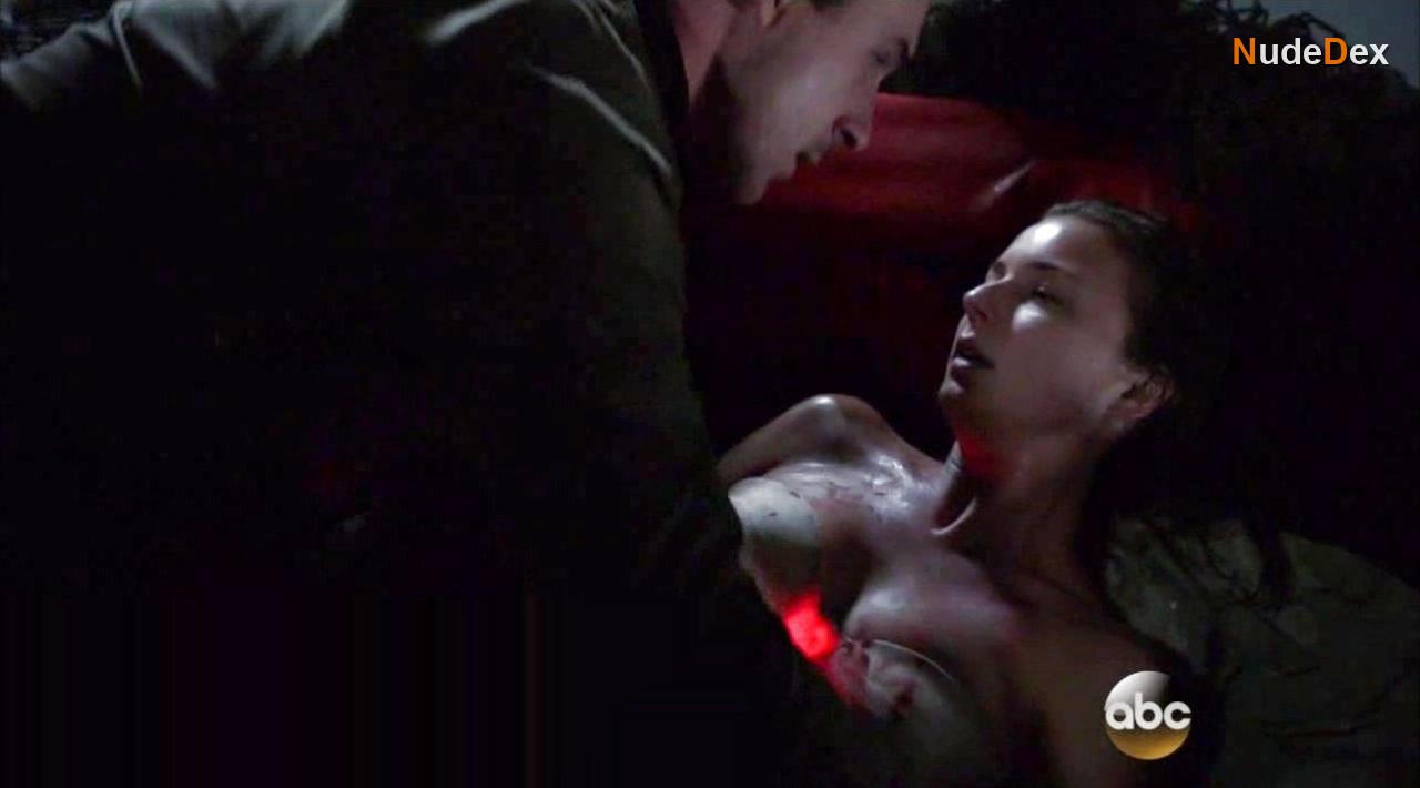 Emily Vancamp in Revenge, photo 3