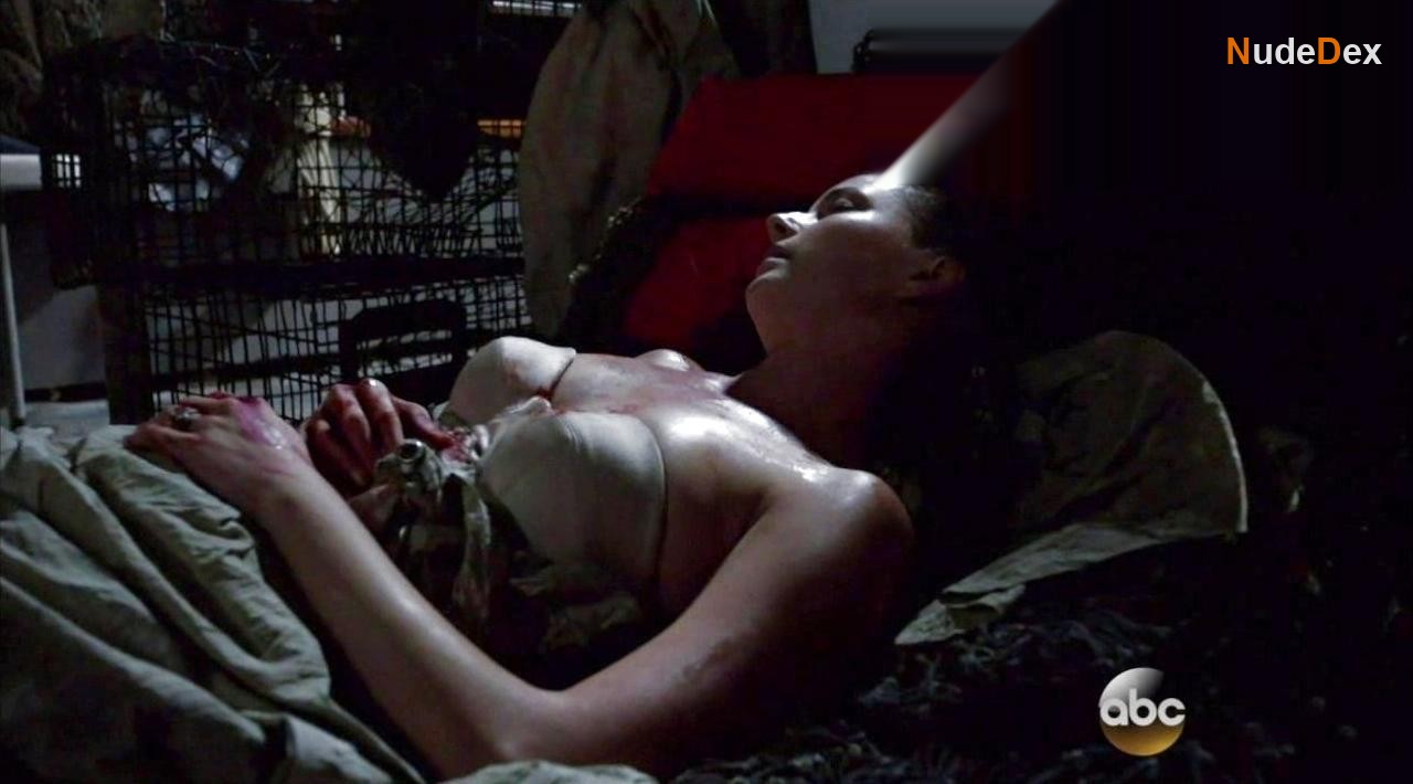 Emily Vancamp in Revenge, photo 5