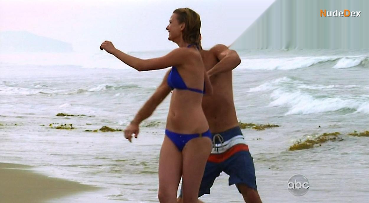 Emily Vancamp in Revenge, photo 9