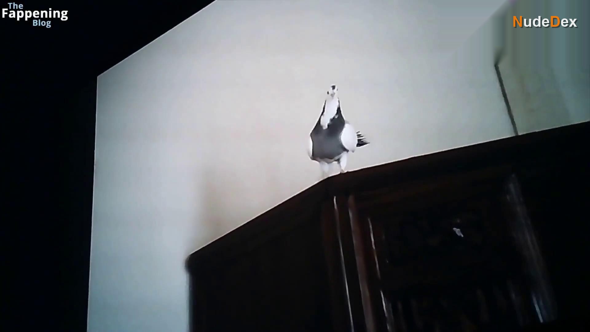 Poor Things in Poor Things, photo 14