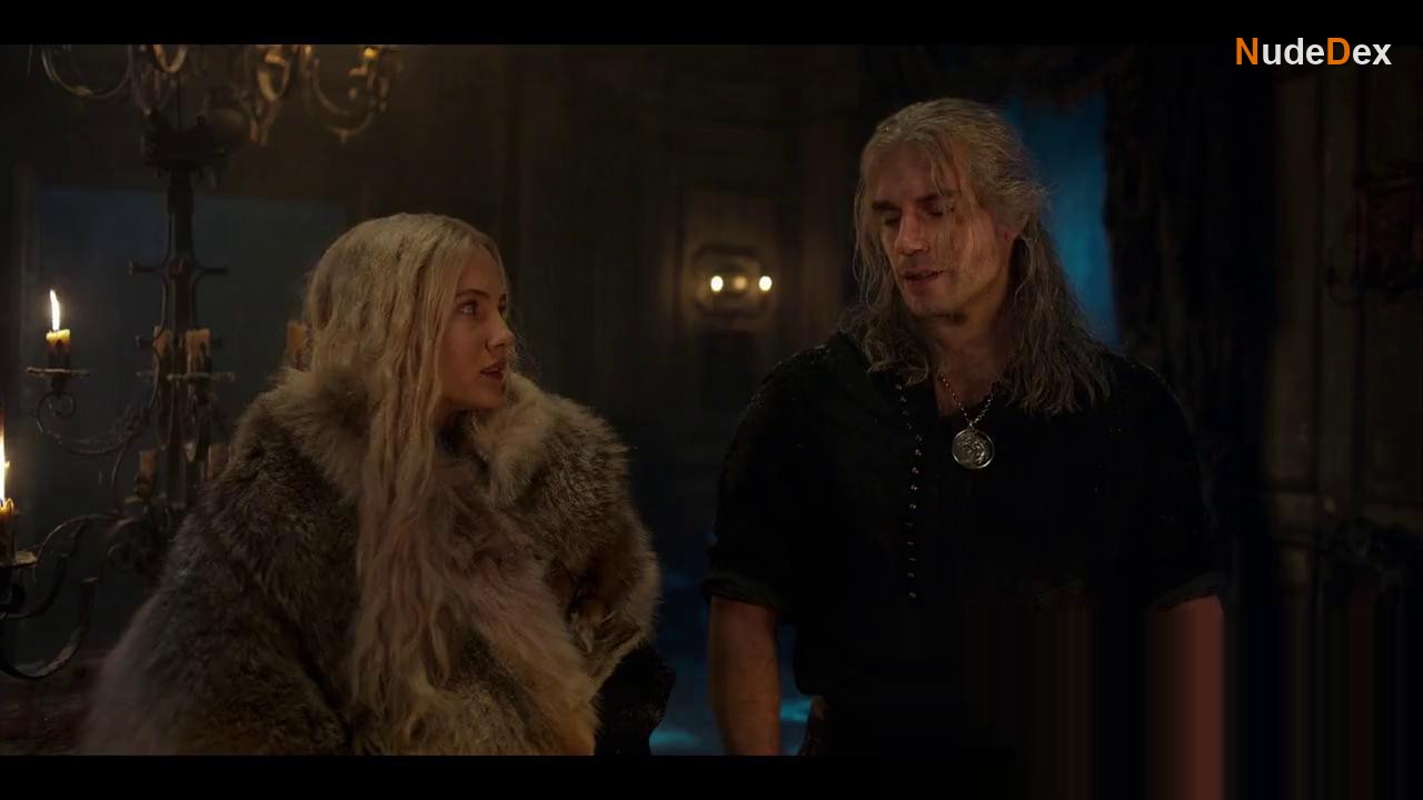 The Witcher in The Witcher, photo 3