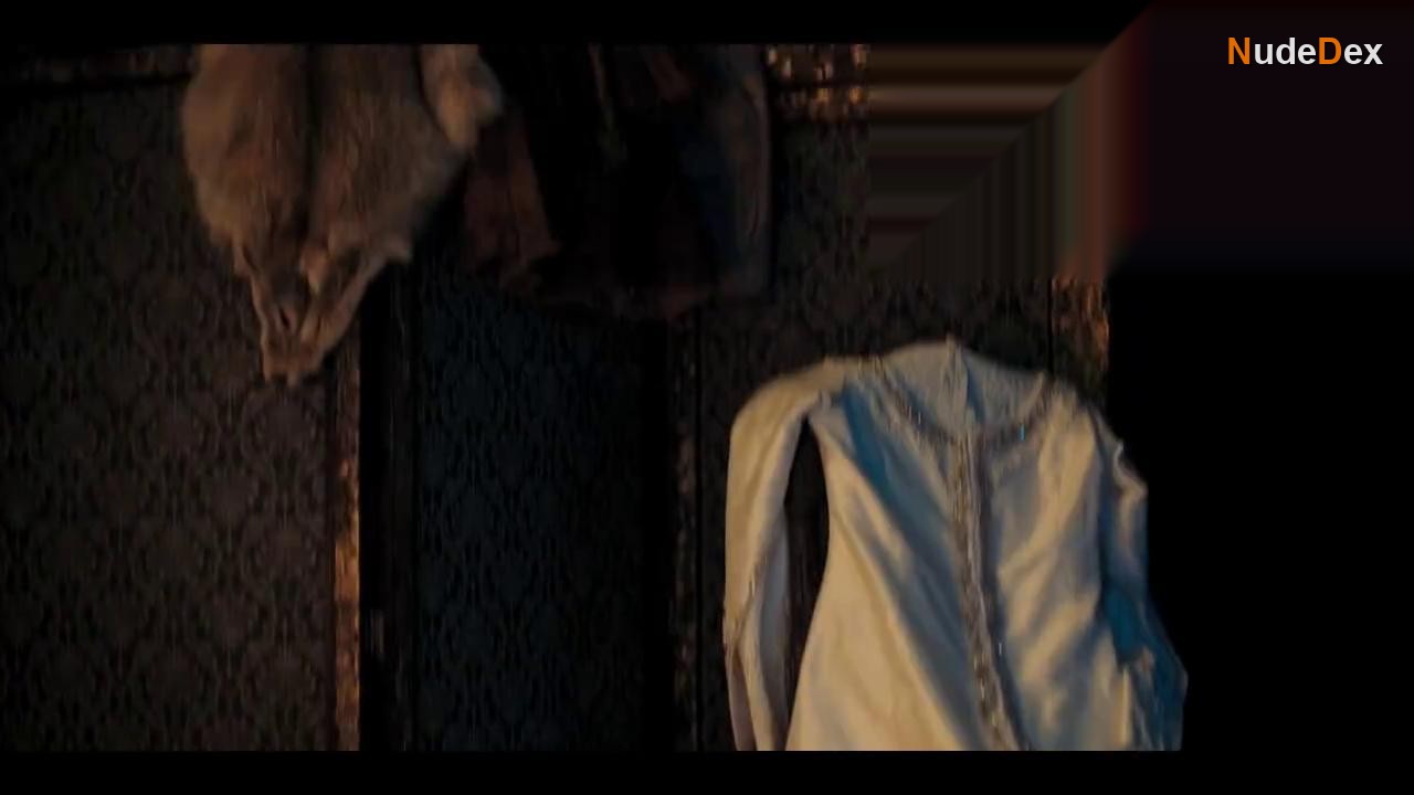 The Witcher in The Witcher, photo 27