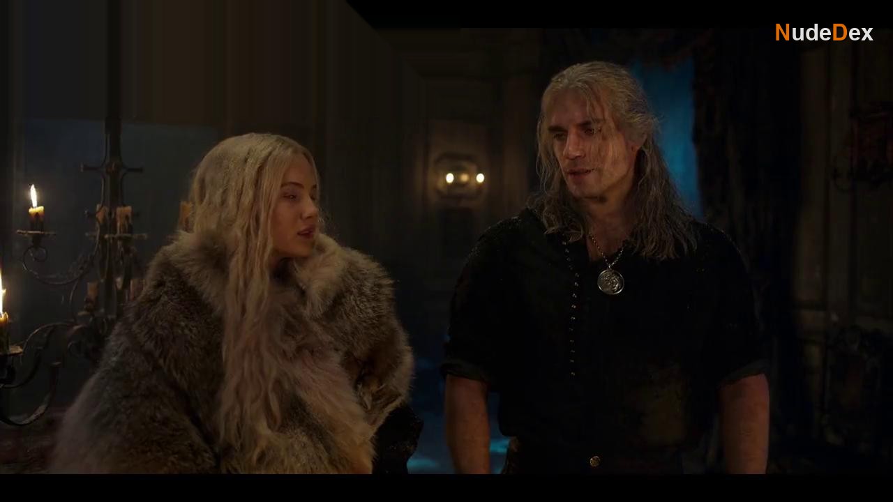 The Witcher in The Witcher, photo 35