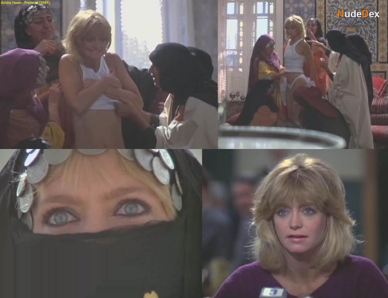 Goldie Hawn in Protocol, photo 1