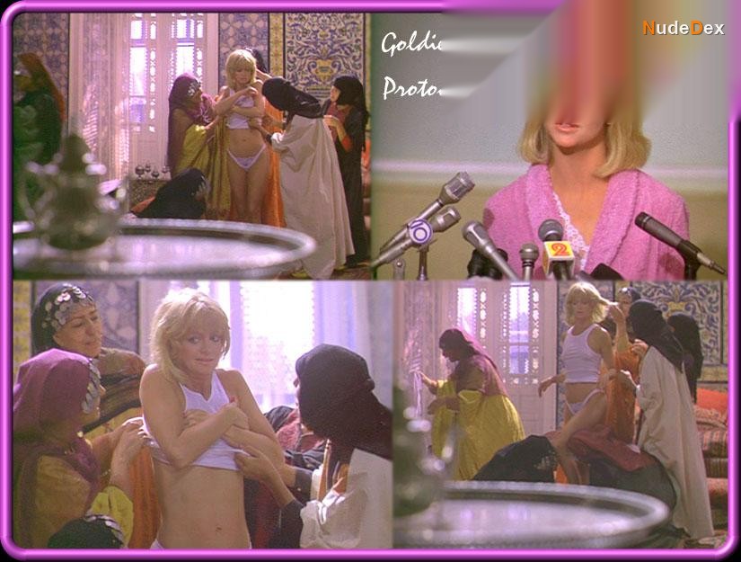 Goldie Hawn in Protocol, photo 2