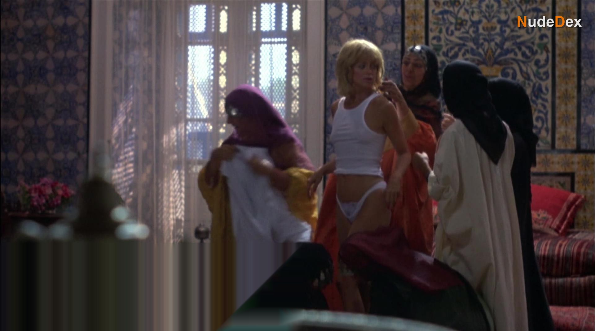 Goldie Hawn in Protocol, photo 4