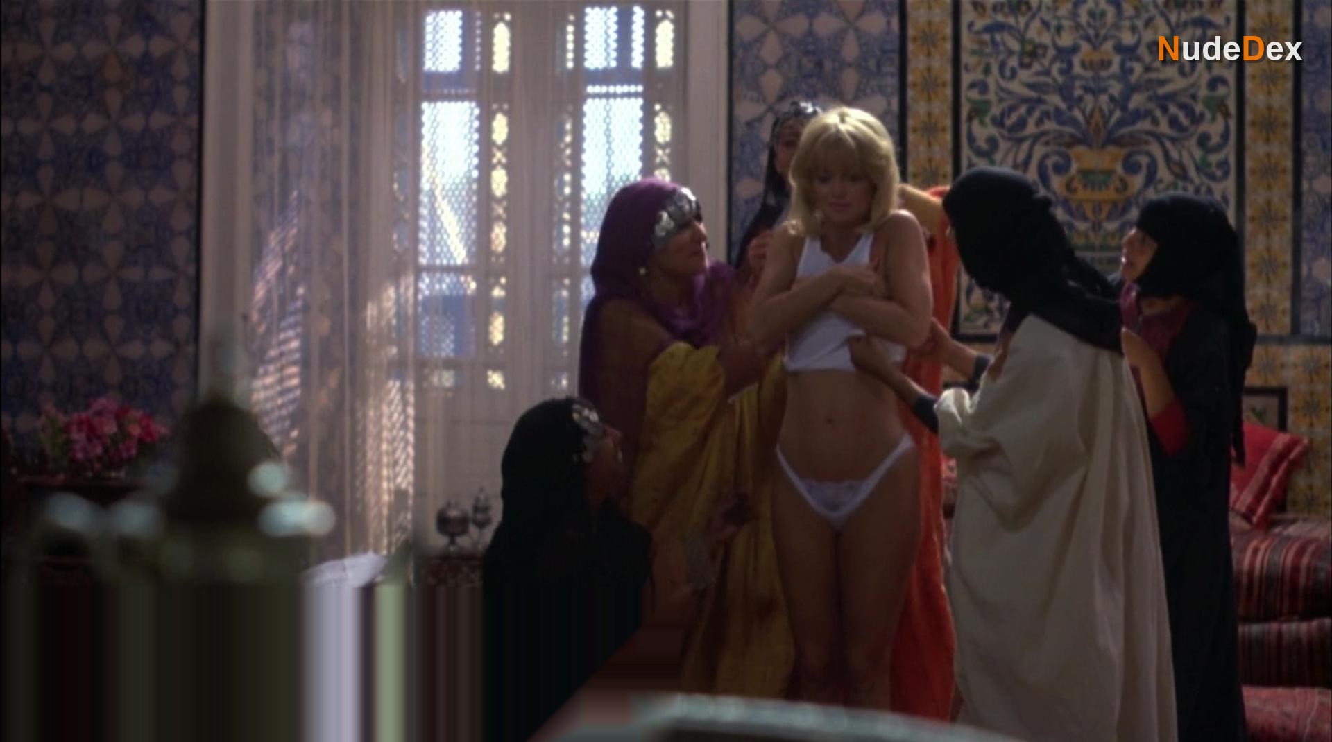 Goldie Hawn in Protocol, photo 5