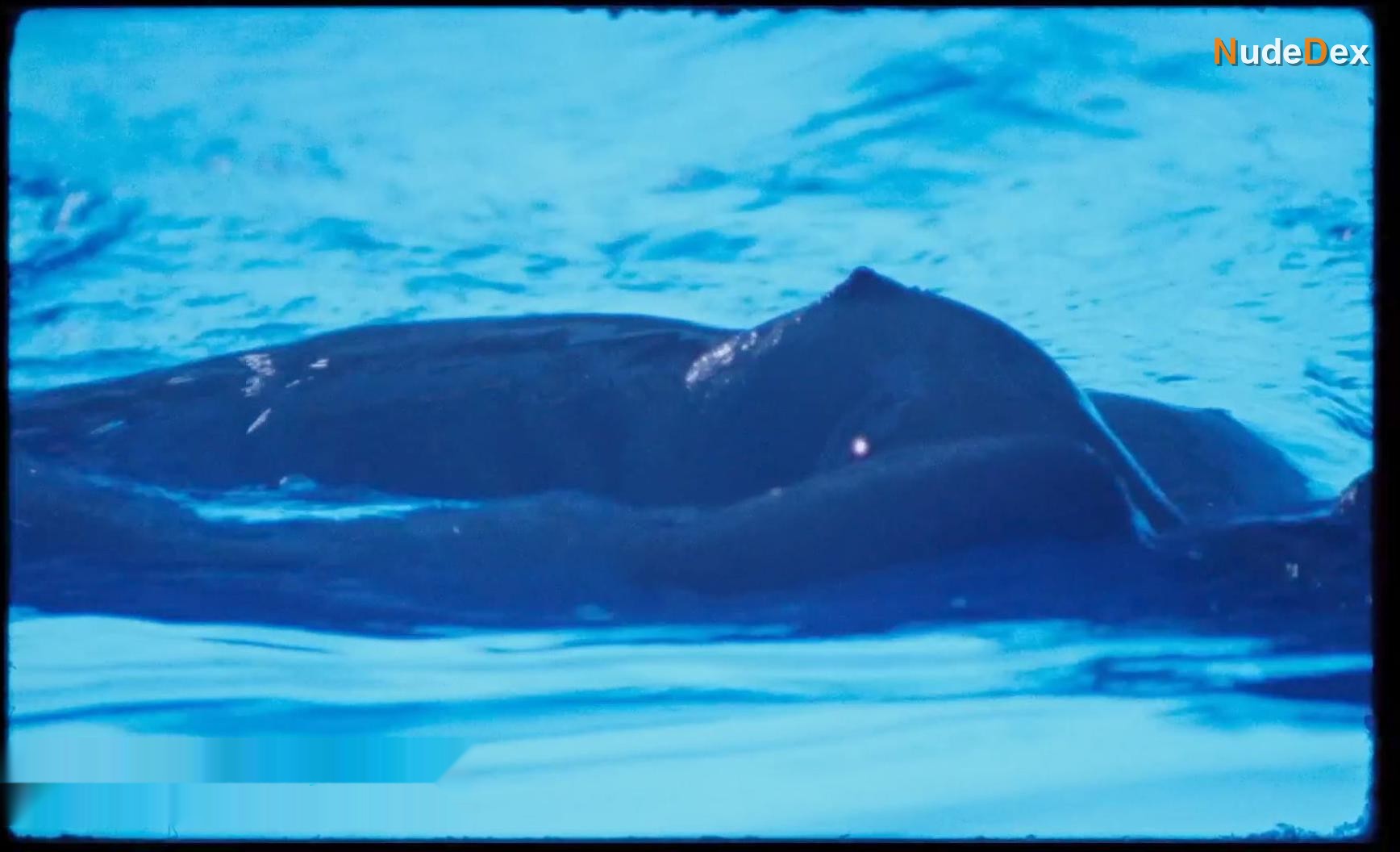 Imogen Poots in The Chronology Of Water, photo 5