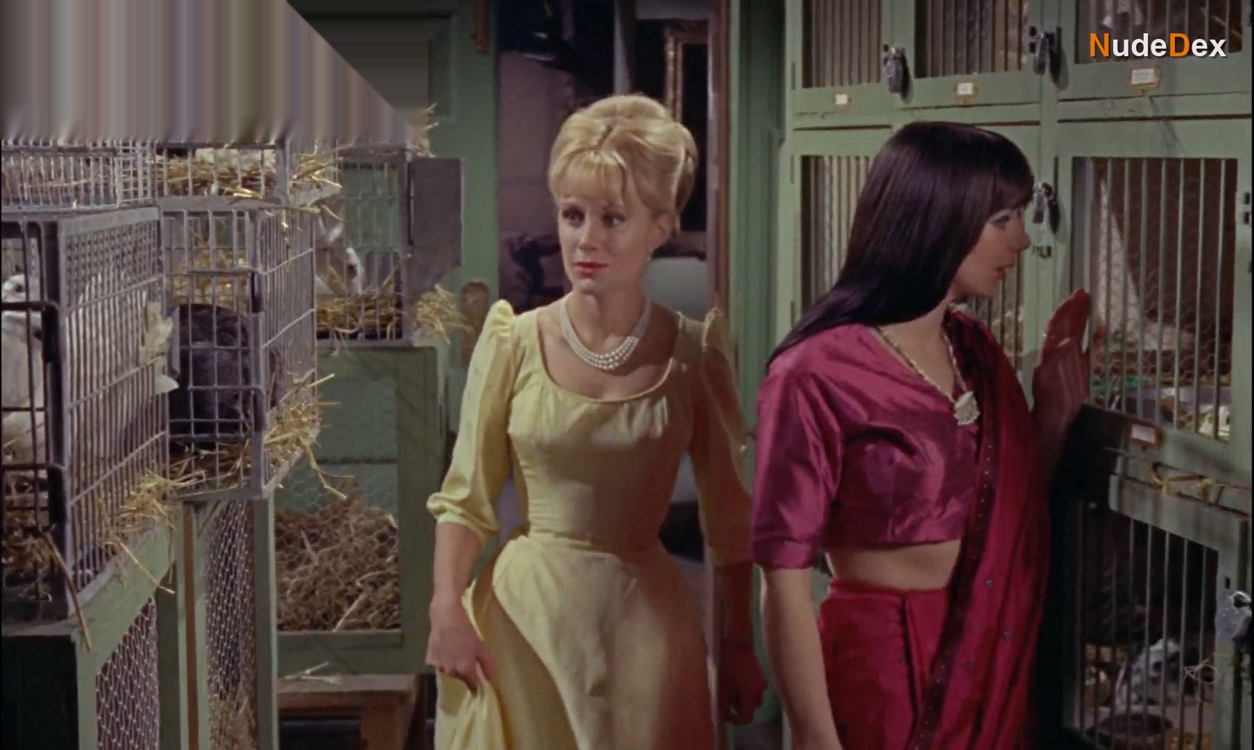 The Reptile in The Reptile, photo 13