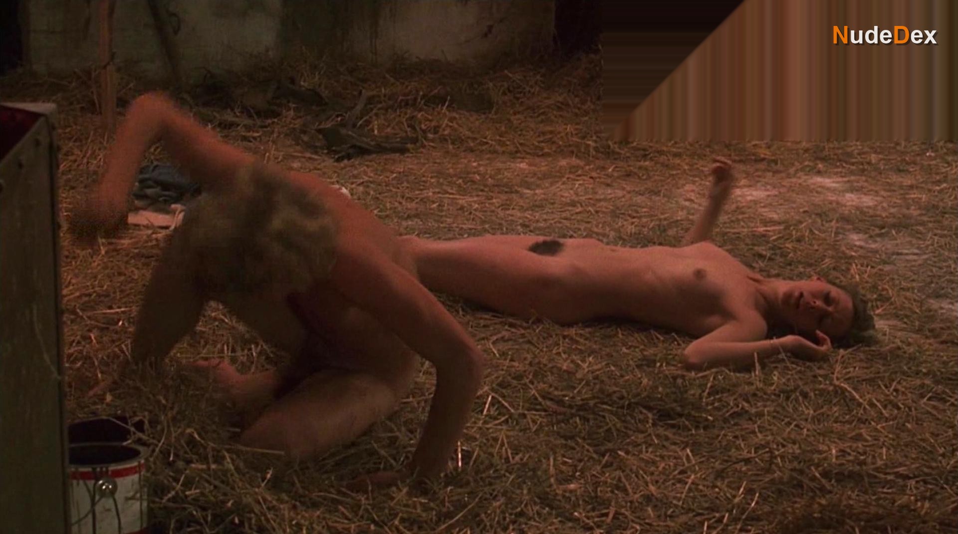 Equus in Equus, photo 4