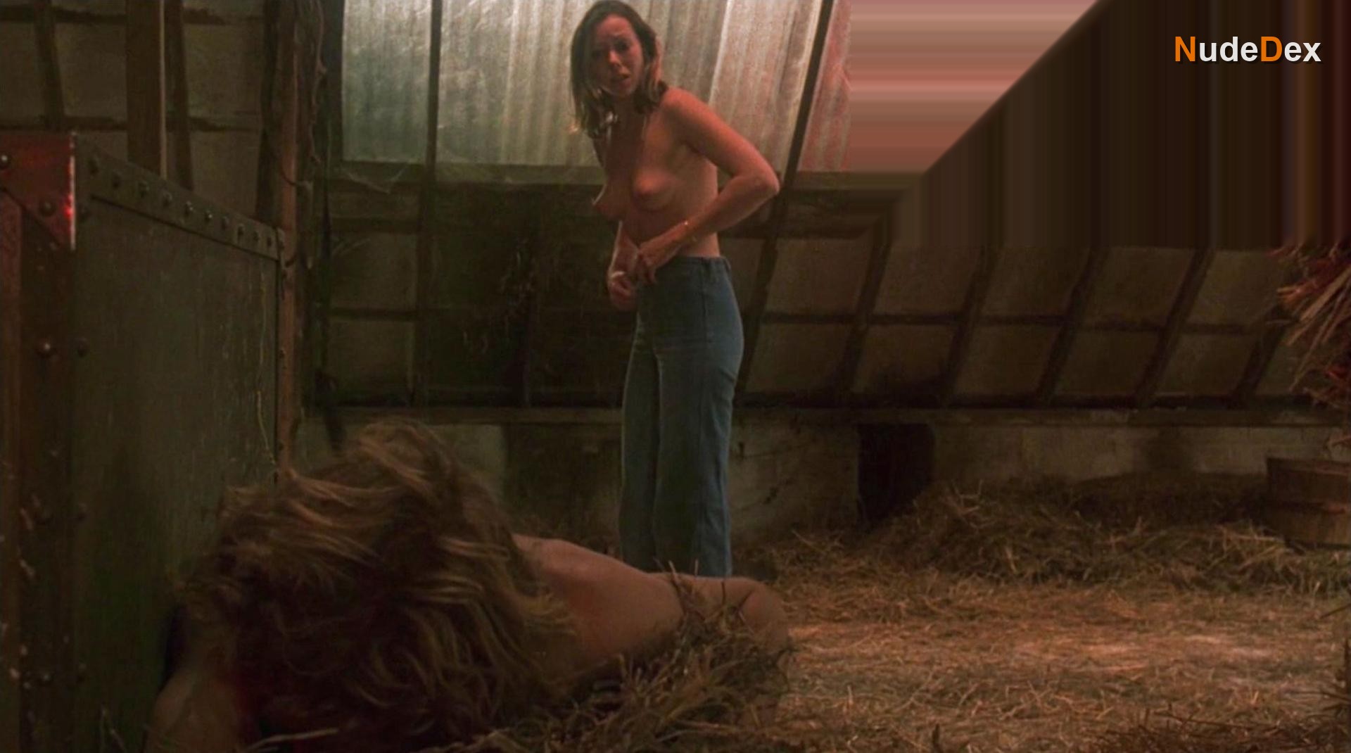 Equus in Equus, photo 8