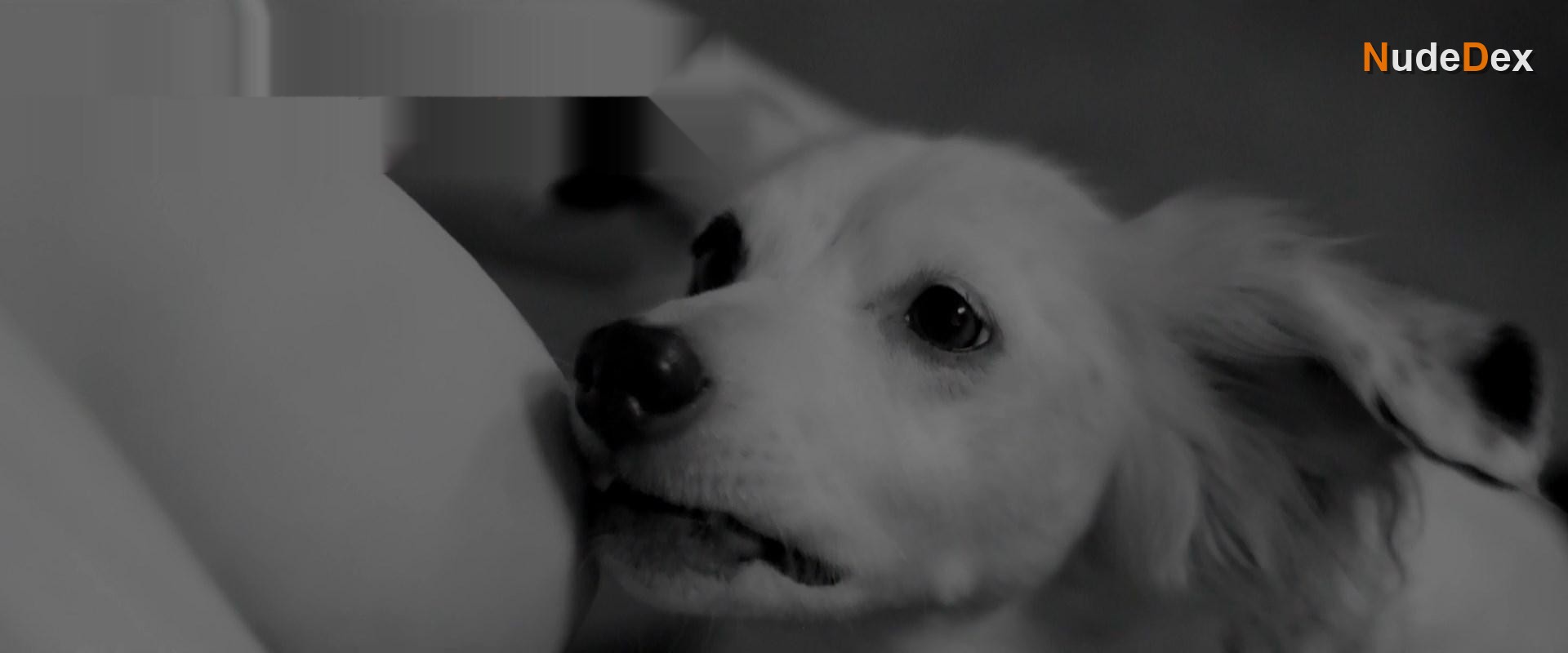 Judy Greer in Into The Dark, photo 1