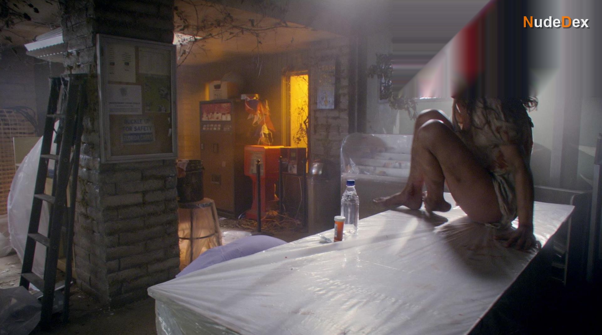 Dexter in Dexter, photo 7