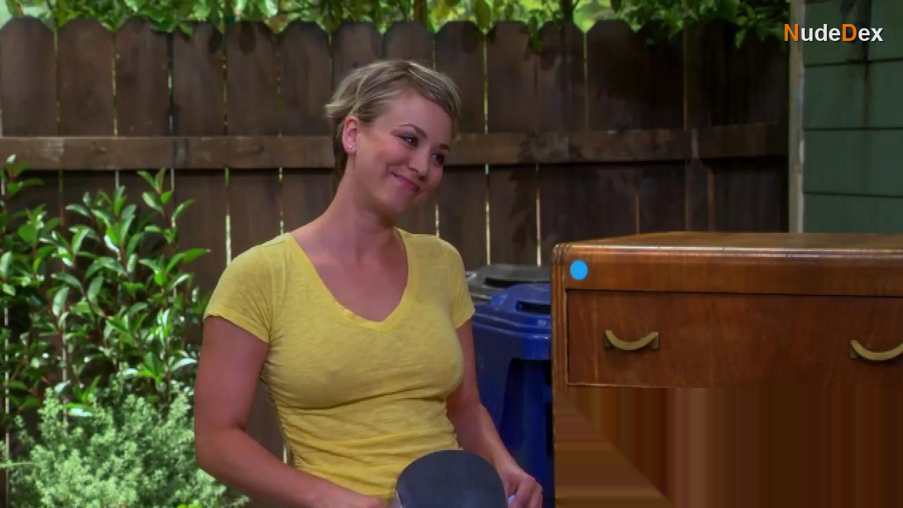 The Big Bang Theory in The Big Bang Theory, photo 3
