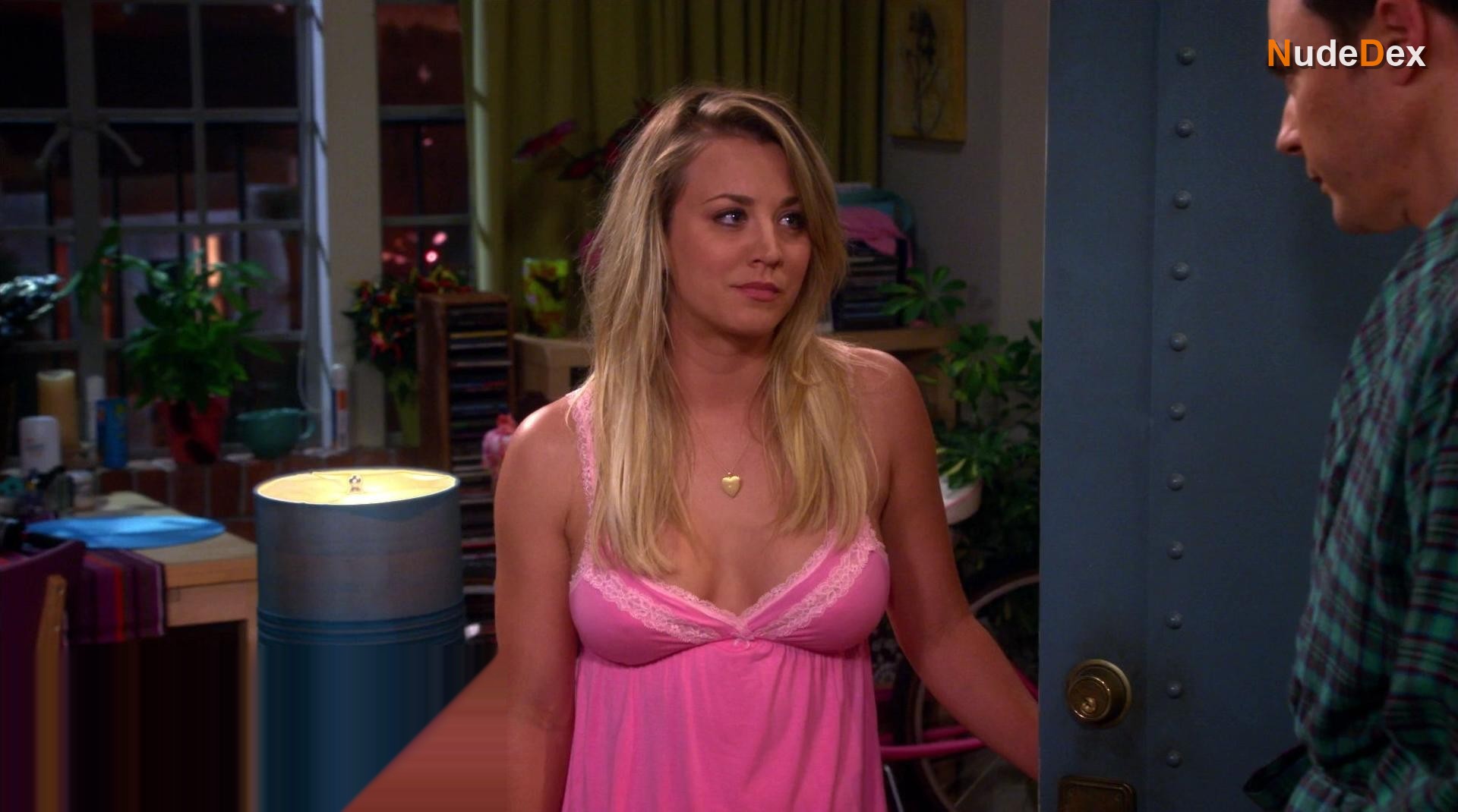The Big Bang Theory in The Big Bang Theory, photo 30