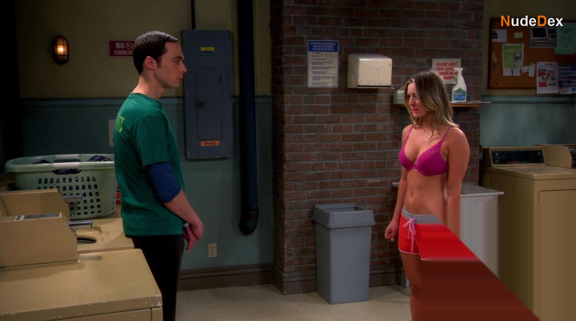 The Big Bang Theory in The Big Bang Theory, photo 35