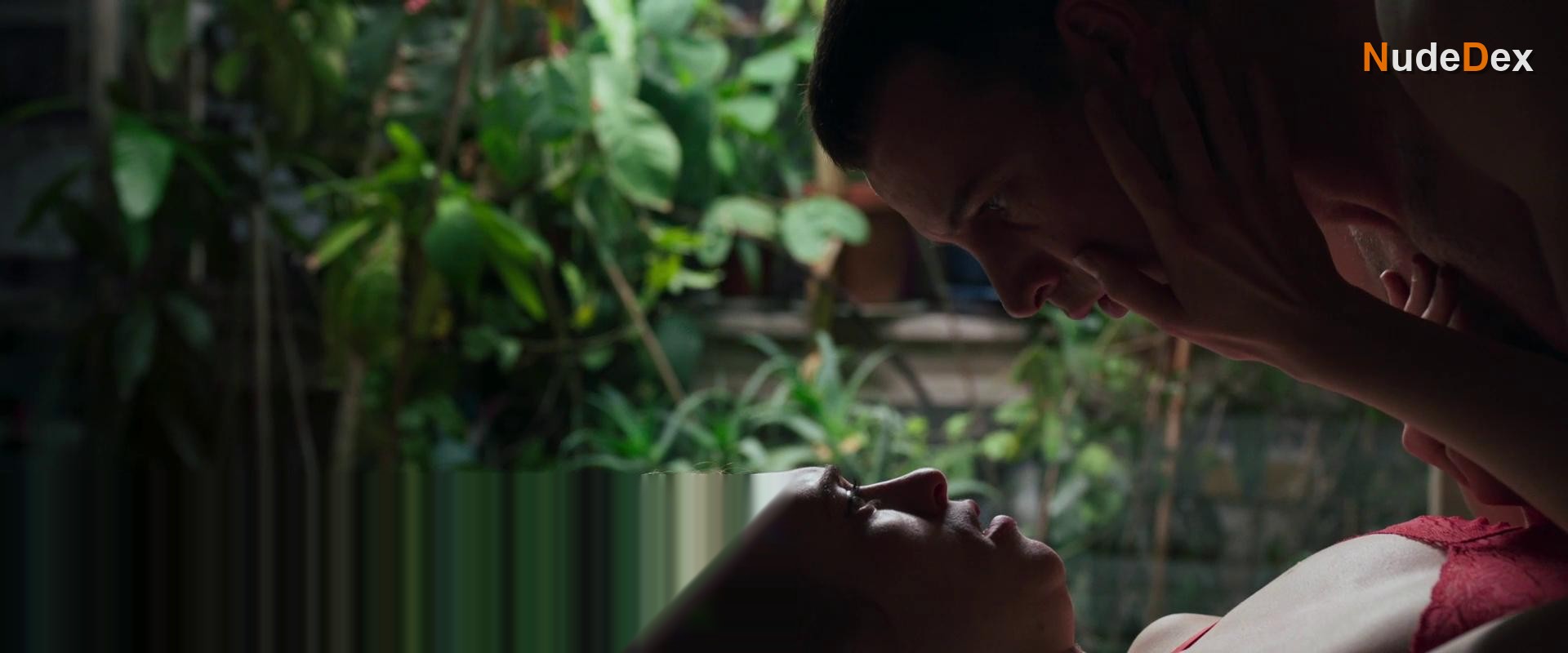 The Forest Within in The Forest Within, photo 5