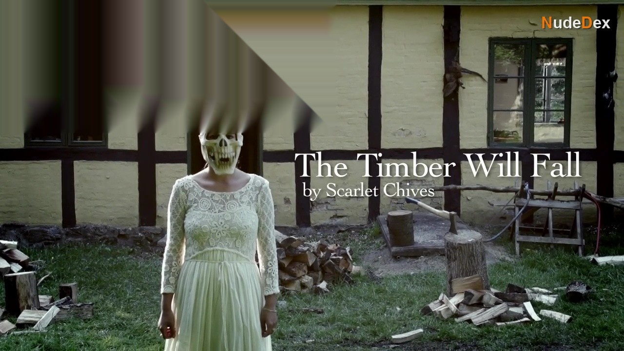 Timber Will Fall in Timber Will Fall, photo 9