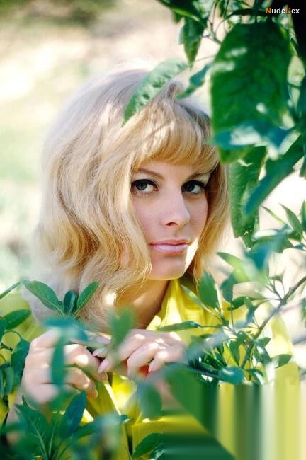 Reagan Wilson in Playboy Magazine, photo 11