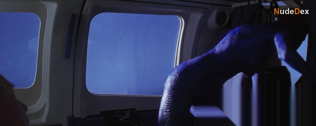 Rebecca Romijn in X Men, photo 5