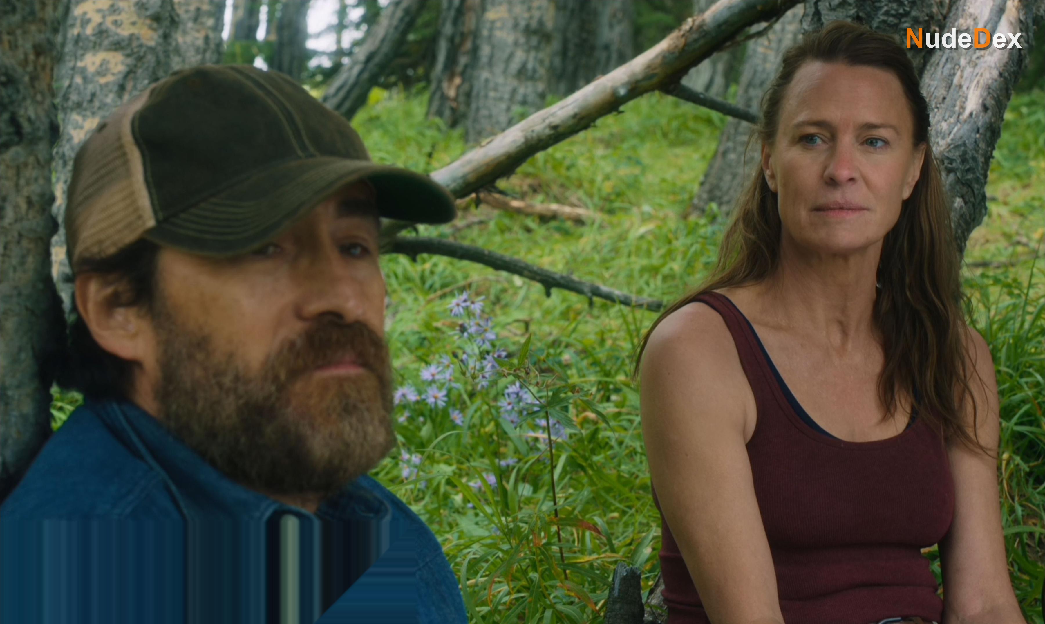 Robin Wright in Land, photo 7