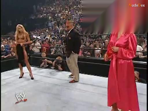 Sable in Wwe Divas, photo 2