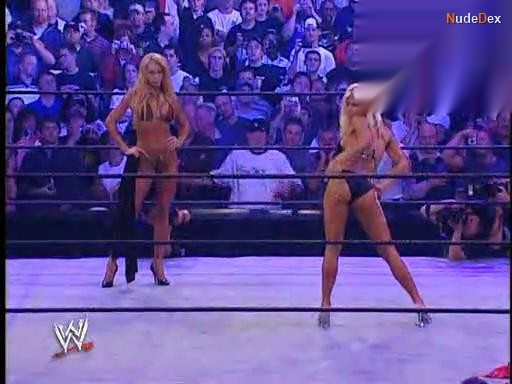 Sable in Wwe Divas, photo 9