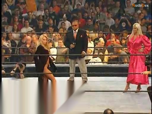 Sable in Wwe Divas, photo 13