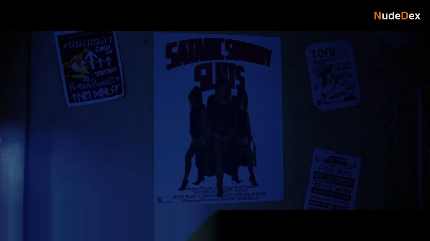 The Shed in The Shed, photo 4