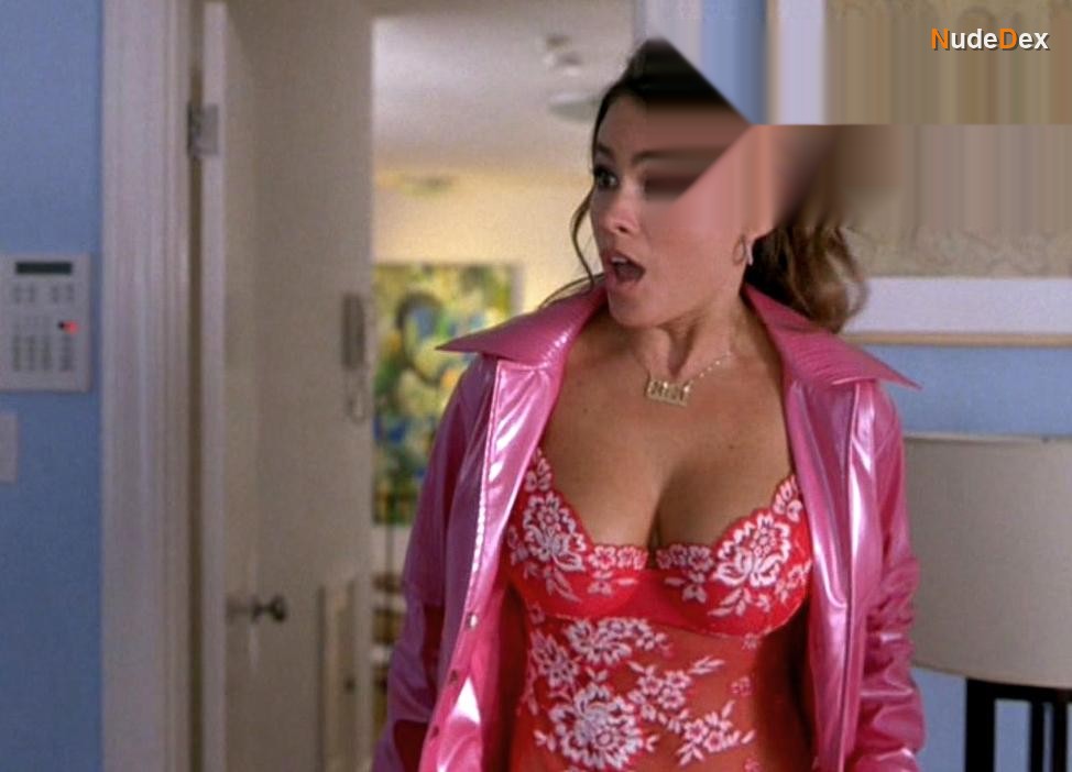 Sofia Vergara in Chasing Papi, photo 20