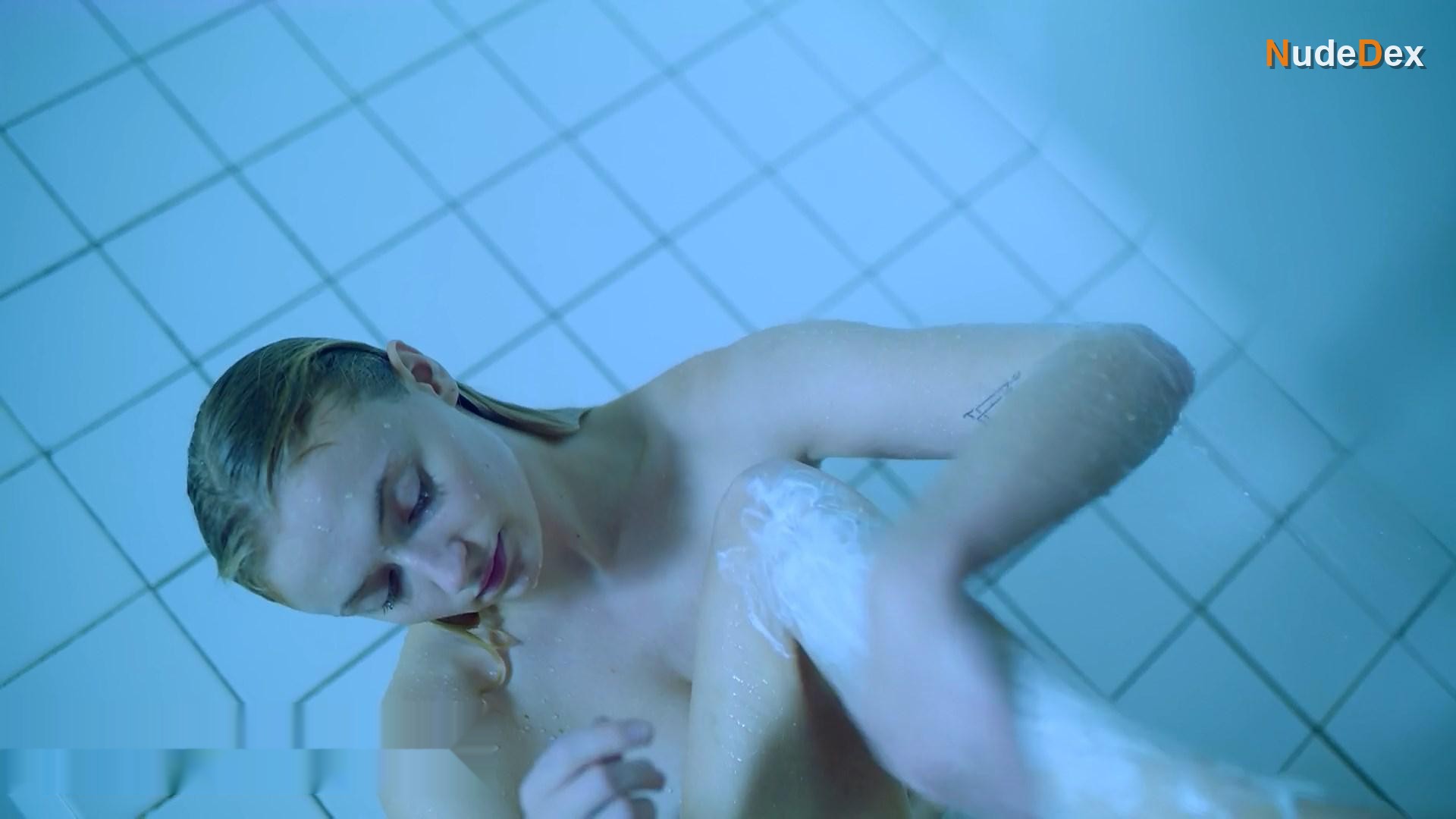 Survive in Survive, photo 4