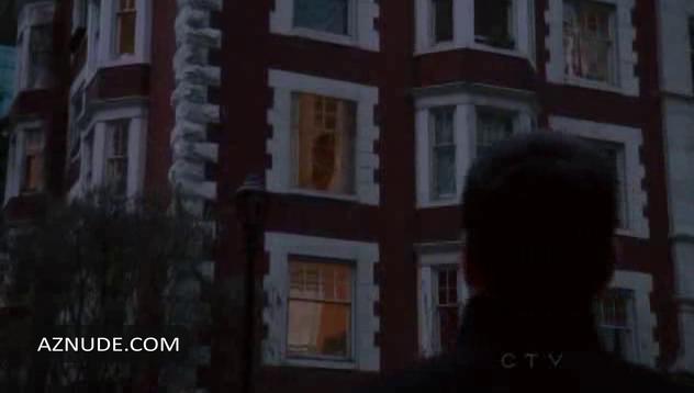 Arrow in Unsorted, photo 15