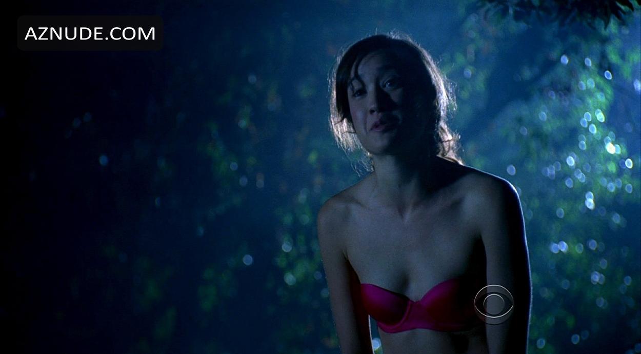 Csi: Crime Scene Investigation in Unsorted, photo 32