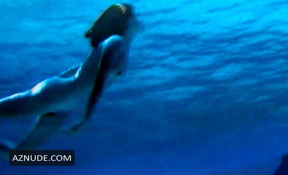 Dolphins in Unsorted, photo 1
