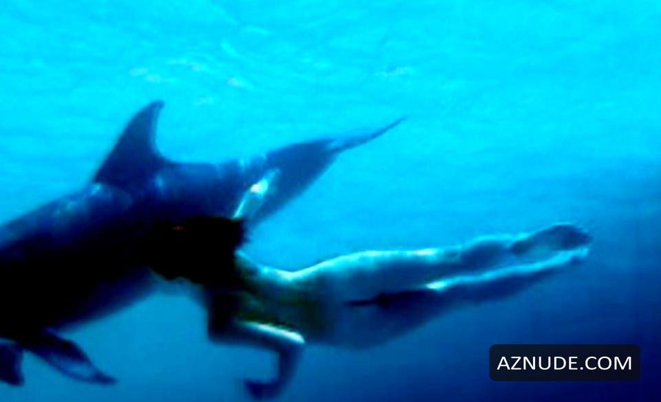 Dolphins in Unsorted, photo 4