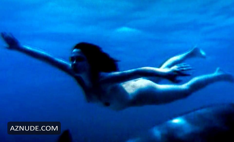 Dolphins in Unsorted, photo 5