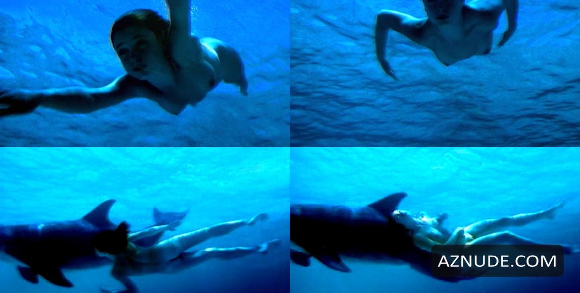 Dolphins in Unsorted, photo 7
