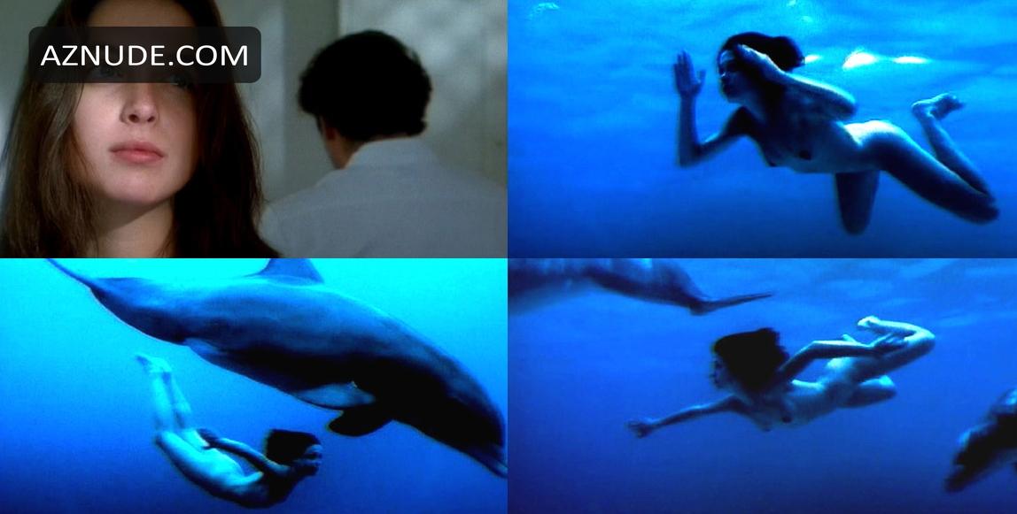 Dolphins in Unsorted, photo 10