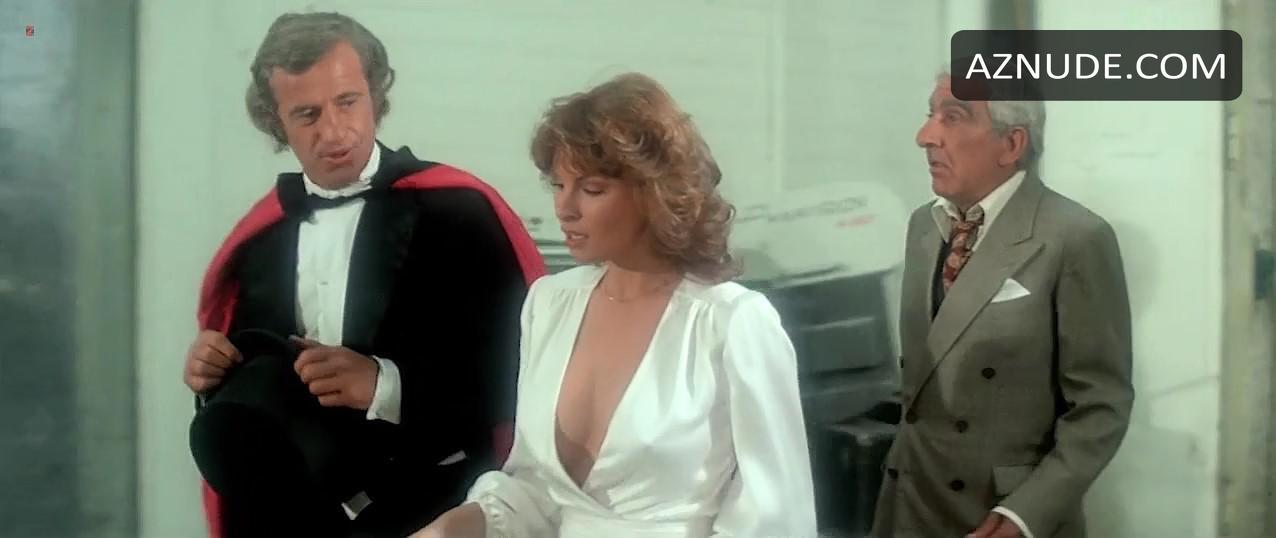 L'animal in Unsorted, photo 5