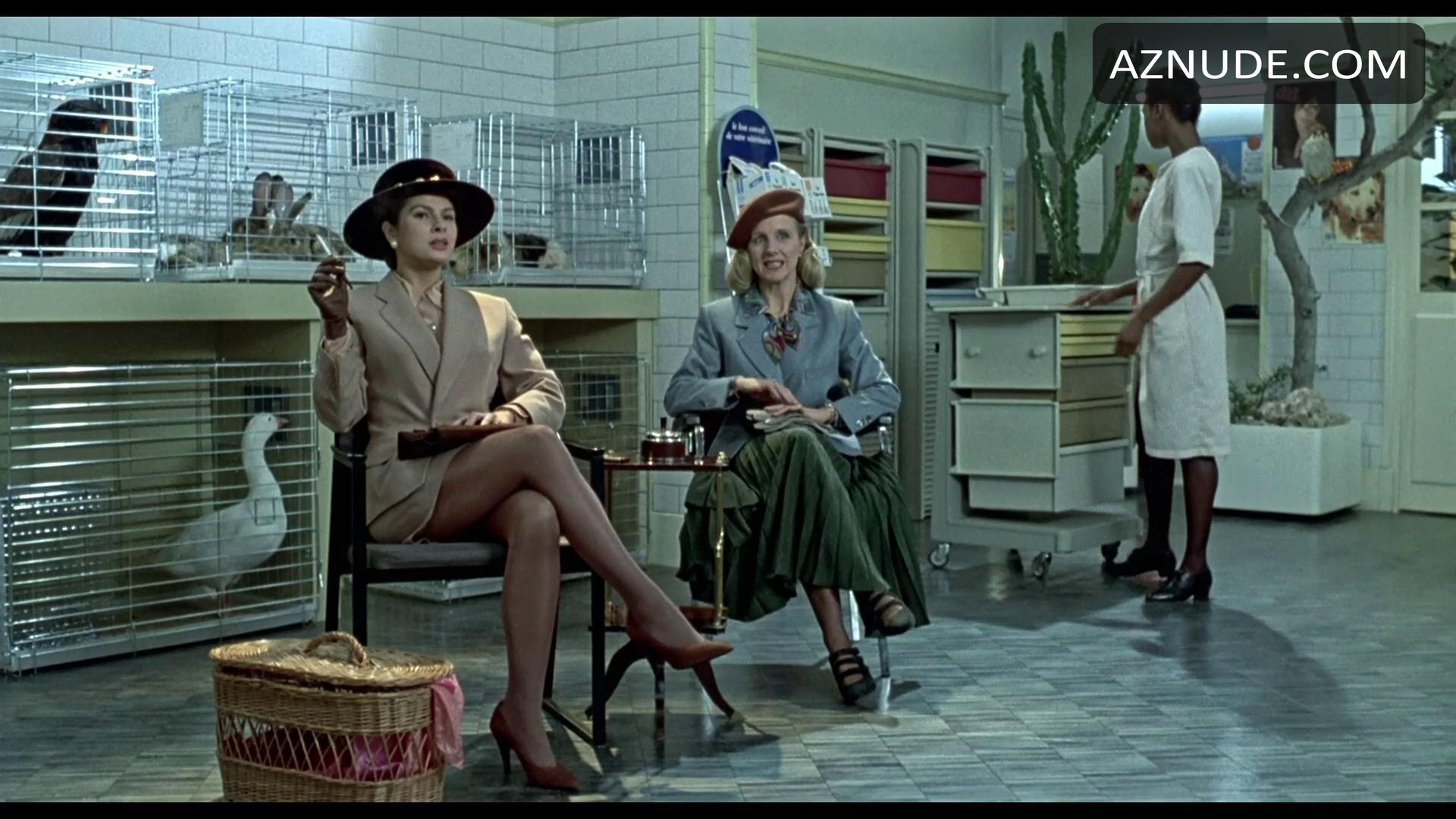 Le Bal Des Casse-pieds in Unsorted, photo 2