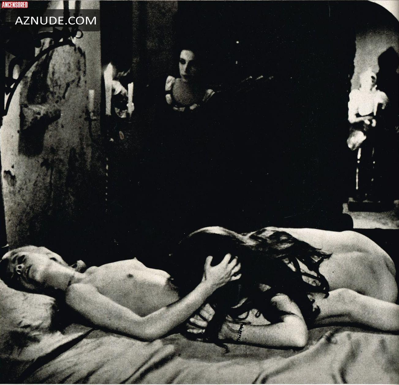 Night Of The Damned in Unsorted, photo 5