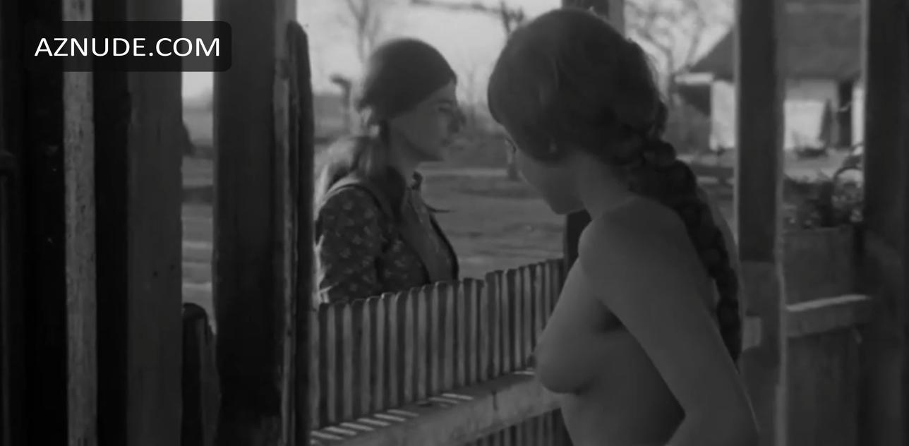 Silence And Cry in Unsorted, photo 3