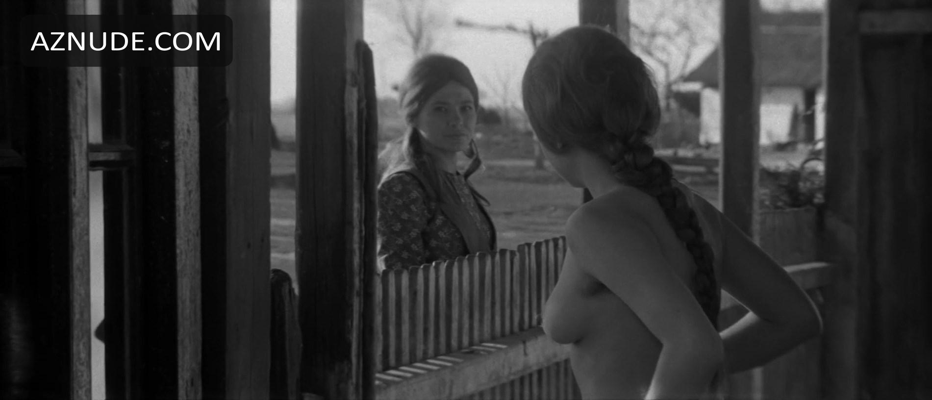 Silence And Cry in Unsorted, photo 9