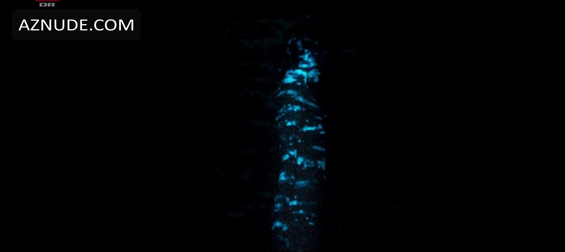 The Blue Orchid in Unsorted, photo 6