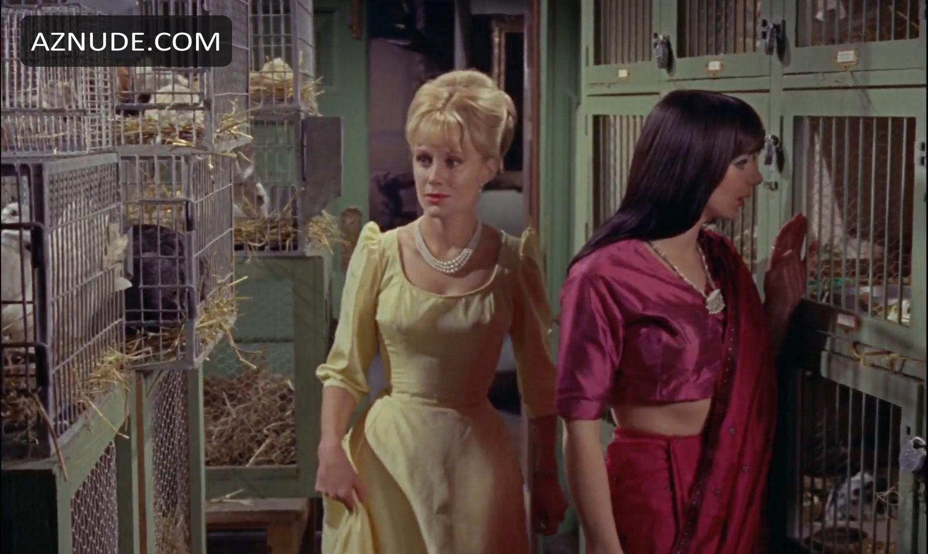 The Reptile in Unsorted, photo 21