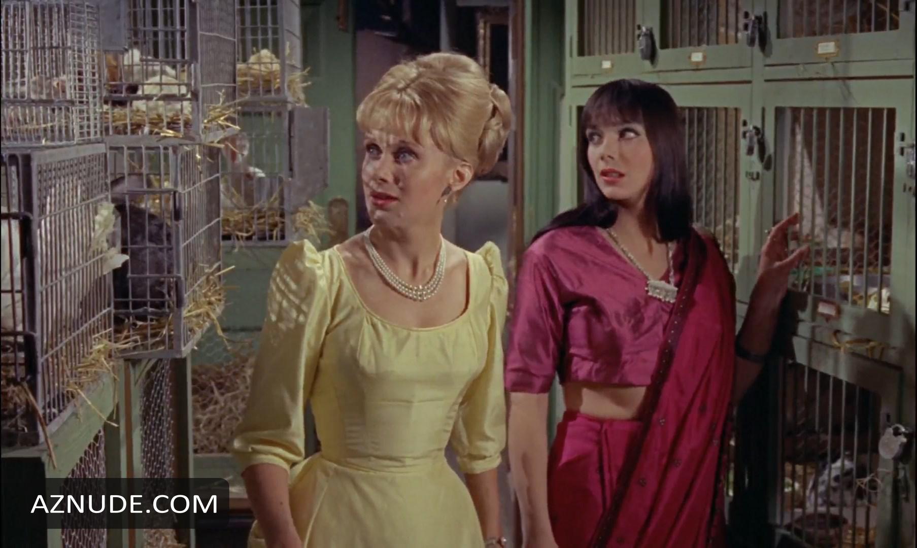 The Reptile in Unsorted, photo 35